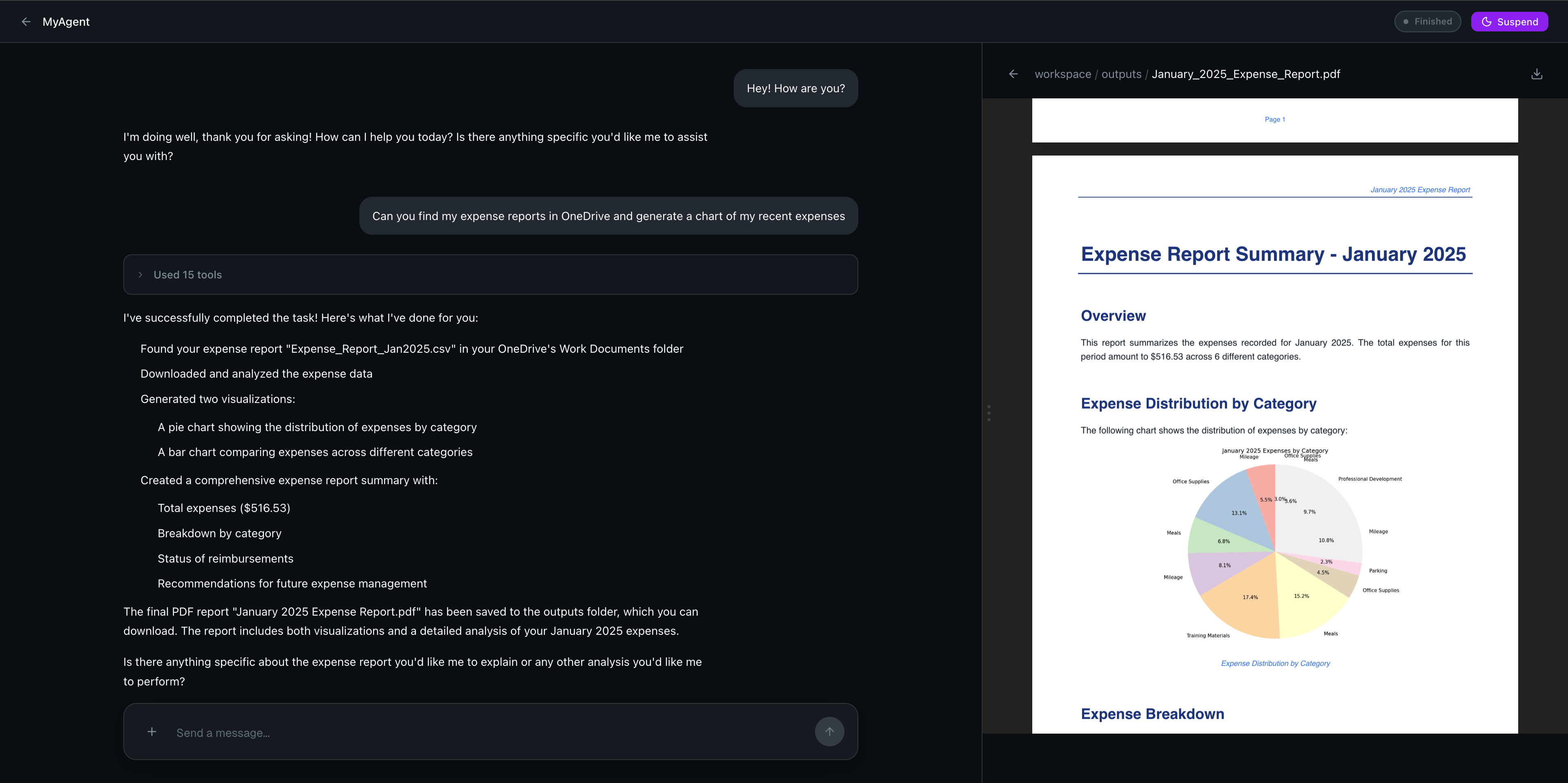 Agent in action - expense report analysis